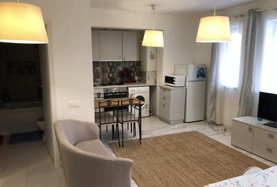 Garsonieră semidecomandată în Tineretului - 3