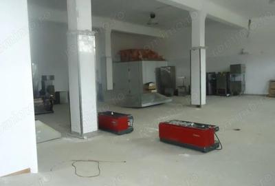 Spațiu comercial, de 10,000 mp, în Drăguțești - 6