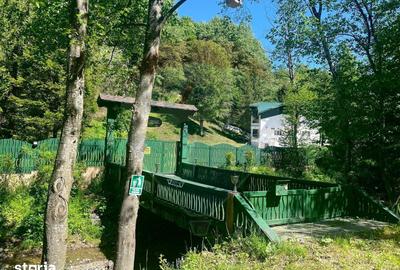 Casă cu Teren 2362 Mp în Tulnici - 2