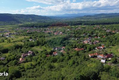 Casă cu 4 camere cu Teren 3765 Mp în Mihăești - 7