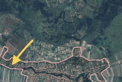 Teren de 1500 mp, în Pericei