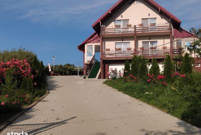 Casă cu 4 camere cu Teren 10000 Mp în Forăști - 3
