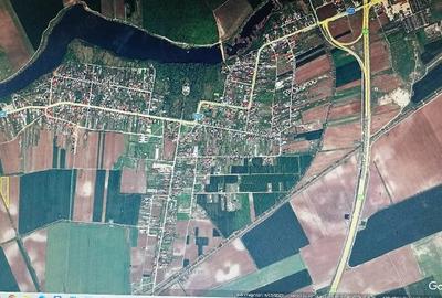 Teren de 8000 mp, în Moara Vlăsiei - 6
