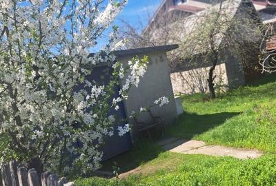 Teren Construcții intravilan în Est - 1