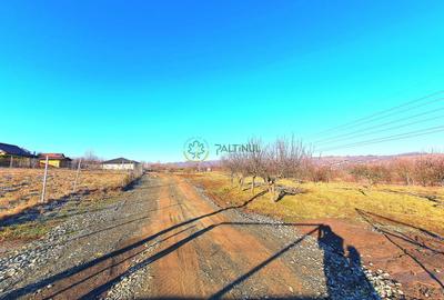 Teren Construcții intravilan de 390 mp, în Daia - 4