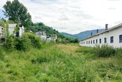 Teren agricol intravilan de 59303 mp, în Cheile Râșnoavei - 7
