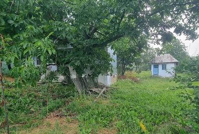 Teren de 3600 mp, în Siliștea - 1