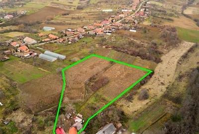 Casă individuală cu 4 camere cu Teren 9168 Mp în Șișterea - 2