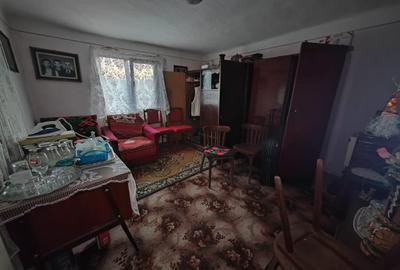 Casă individuală cu 4 camere cu Teren 8700 Mp în Băița - 12