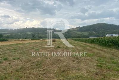 Teren de 10000 mp, în Peceiu