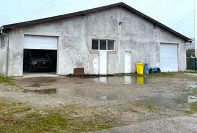 Spațiu comercial, de 442 mp, în Arcalia - 1
