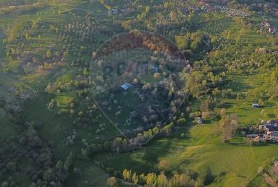 Teren de 15459 mp, în Bughea de Sus - 5