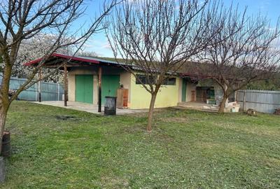 Spațiu comercial, în Ion Creangă - 6