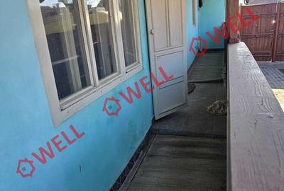 Casă cu Teren 1026 Mp în Brăduț - 3