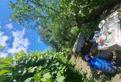 Casă cu 3 camere cu Teren 1200 Mp în Valea Lupului