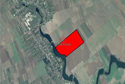 Teren de 460000 mp, în Frumușani - 1
