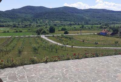 Casă cu 6 camere decomandat cu Teren 19200 Mp în Creaca - 7