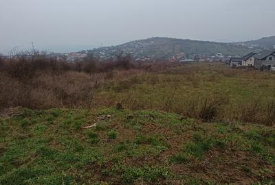 Teren intravilan de 11000 mp, în Tomești - 4