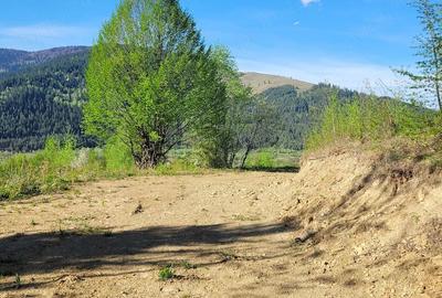 Teren de 5000 mp, în Ceahlău - 2