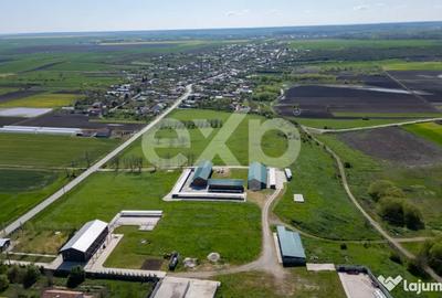 Teren în Crânguri - 2