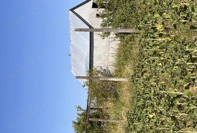 Teren de 5800 mp, în Pișchia - 3