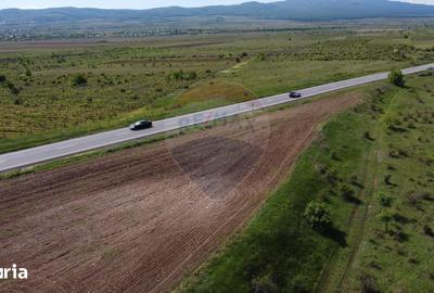 Teren de 33000 mp, în Jariștea