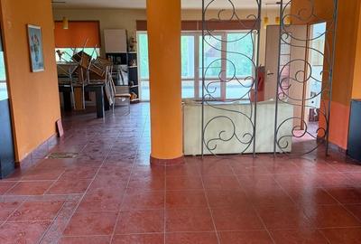 Casă cu 9 camere cu Teren 1575 Mp în Borșa - 12