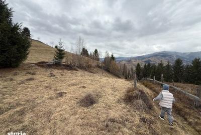 Teren de 1700 mp, în Albac - 5
