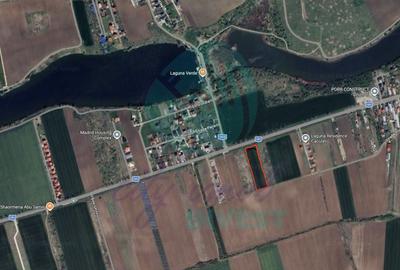 Teren Construcții intravilan de 6439 mp, în Moara Vlăsiei - 1