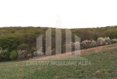 Teren Construcții intravilan de 1808 mp, în Cetate - 2