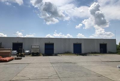 Spațiu comercial, de 1,720 mp, în Glina - 8