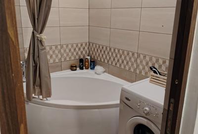 Garsonieră decomandată în Turnișor - 6