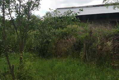 Casă cu 4 camere cu Teren 200 Mp în Corbi