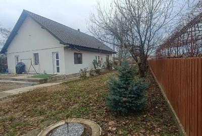 Casă cu 1 camere cu Teren 4200 Mp în Vadu Moldovei - 1