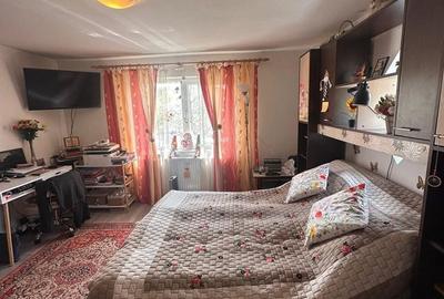 Casă cu 3 camere cu Teren 13000 Mp în Central - 1