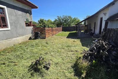 Casă cu Teren 2350 Mp în Jiana - 6