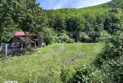 Teren de 1185 mp, în Gilău - 1
