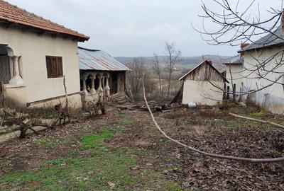 Casă cu 3 camere cu Teren 3200 Mp în Sutești - 1
