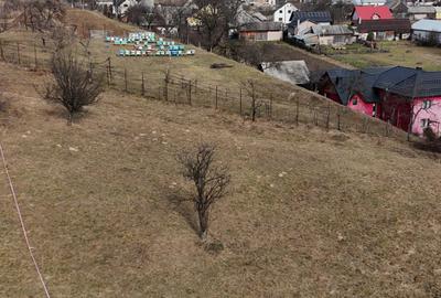 Teren Construcții intravilan de 1220 mp, în Prundu Bârgăului - 5