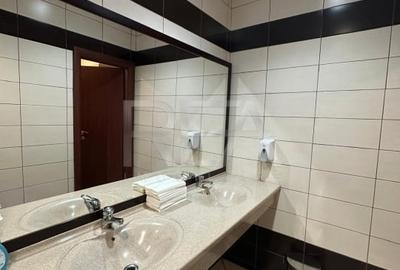 Birou, de 317.82000732422 mp, în Tineretului - 10
