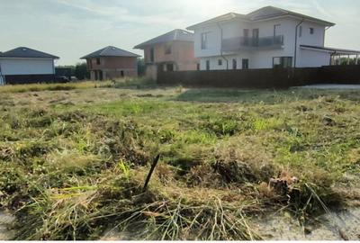 Teren Construcții intravilan de 504 mp, în Corbeanca - 4