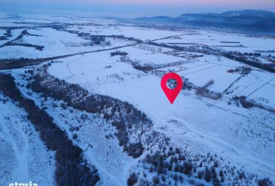 Teren de 5000 mp, în Pănicel