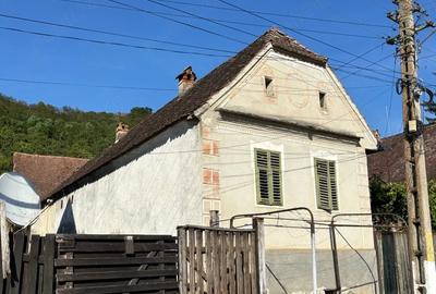 Casă cu 4 camere cu Teren 3000 Mp în Seleuș (Zagăr)