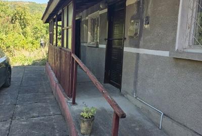 Casă cu 2 camere în Baru