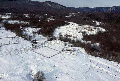 Casă cu 5 camere cu Teren 2000 Mp în Nucșoara - 2