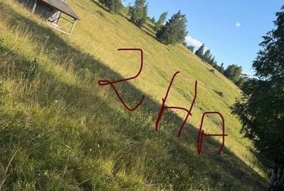 Teren de 2000 mp, în Vama