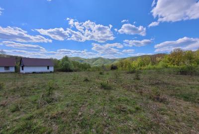 Teren de 70000 mp, în Șerani - 1