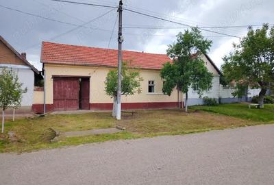 Casă cu 3 camere cu Teren 1079 Mp în Grădinari - 3