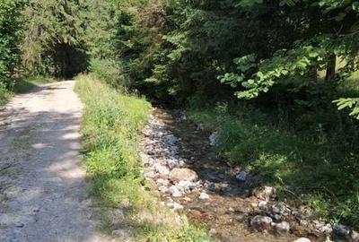 Teren de 2500 mp, în Central - 1