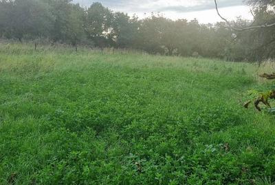 Teren de 1500 mp, în Aiton - 3